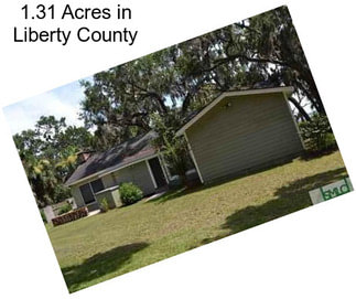 1.31 Acres in Liberty County