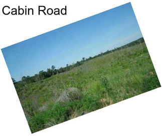 Cabin Road