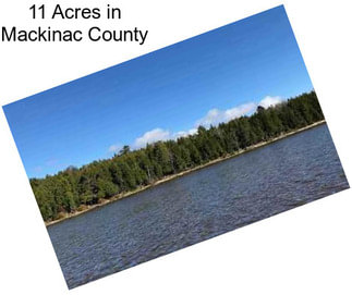 11 Acres in Mackinac County