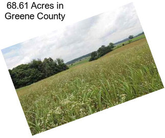 68.61 Acres in Greene County