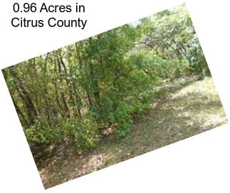 0.96 Acres in Citrus County