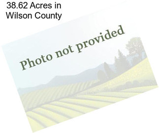 38.62 Acres in Wilson County