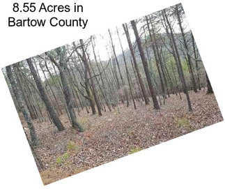 8.55 Acres in Bartow County