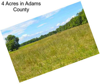 4 Acres in Adams County