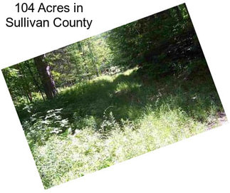 104 Acres in Sullivan County