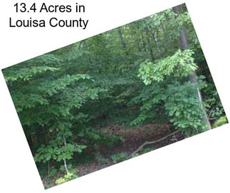 13.4 Acres in Louisa County