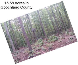 15.58 Acres in Goochland County