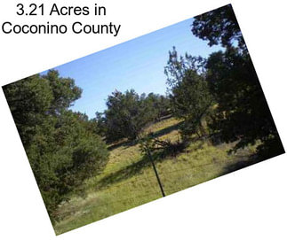 3.21 Acres in Coconino County