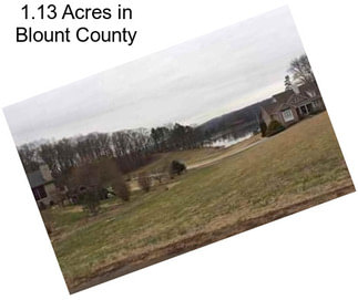 1.13 Acres in Blount County