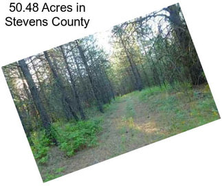 50.48 Acres in Stevens County