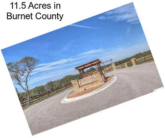 11.5 Acres in Burnet County