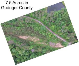 7.5 Acres in Grainger County