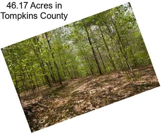 46.17 Acres in Tompkins County