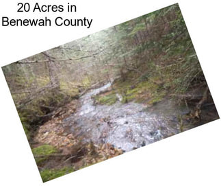 20 Acres in Benewah County