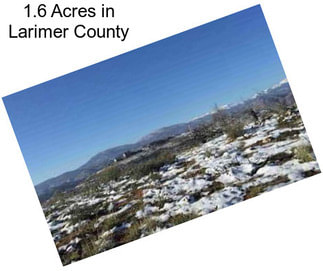 1.6 Acres in Larimer County