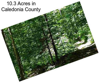 10.3 Acres in Caledonia County