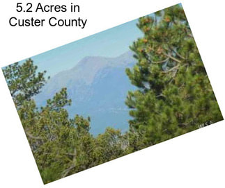 5.2 Acres in Custer County