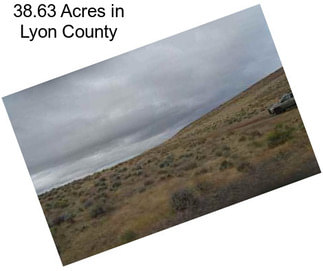 38.63 Acres in Lyon County