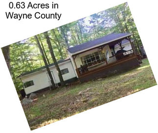 0.63 Acres in Wayne County