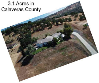 3.1 Acres in Calaveras County