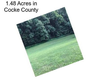 1.48 Acres in Cocke County