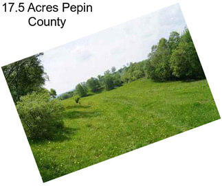 17.5 Acres Pepin County