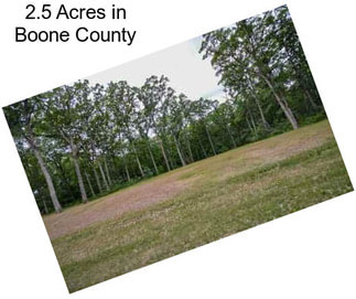 2.5 Acres in Boone County