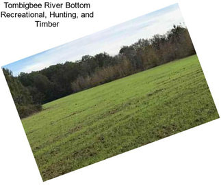 Tombigbee River Bottom Recreational, Hunting, and Timber