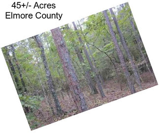 45+/- Acres Elmore County