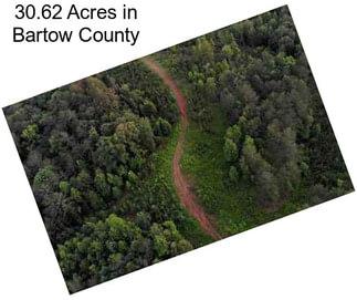 30.62 Acres in Bartow County