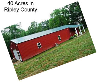 40 Acres in Ripley County