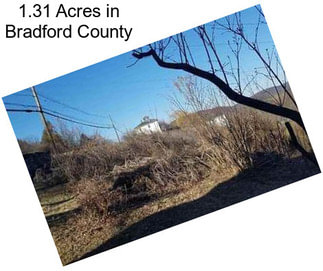 1.31 Acres in Bradford County