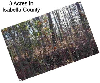 3 Acres in Isabella County