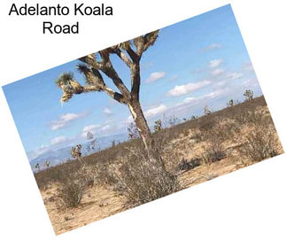 Adelanto Koala Road