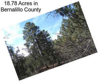 18.78 Acres in Bernalillo County