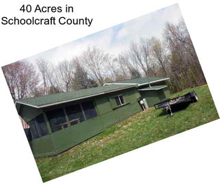 40 Acres in Schoolcraft County