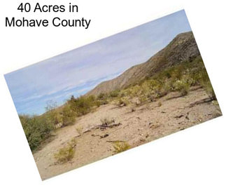 40 Acres in Mohave County