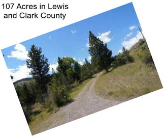 107 Acres in Lewis and Clark County