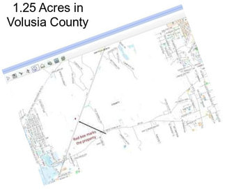 1.25 Acres in Volusia County