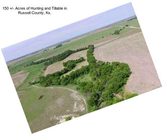 150 +/- Acres of Hunting and Tillable in Russell County, Ks.