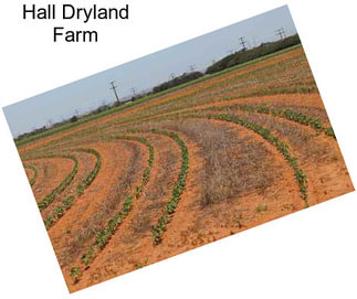 Hall Dryland Farm