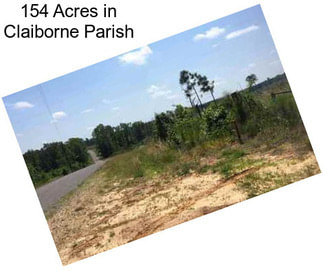 154 Acres in Claiborne Parish