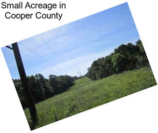 Small Acreage in Cooper County
