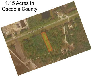 1.15 Acres in Osceola County
