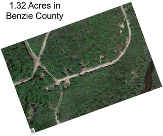 1.32 Acres in Benzie County