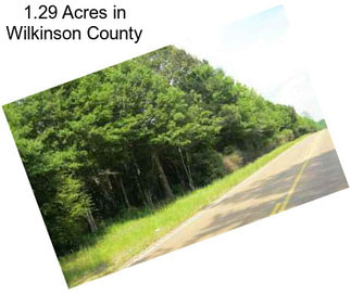 1.29 Acres in Wilkinson County