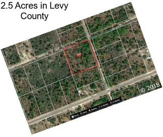 2.5 Acres in Levy County