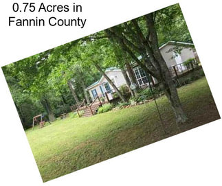 0.75 Acres in Fannin County