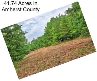 41.74 Acres in Amherst County