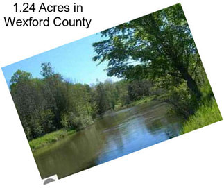 1.24 Acres in Wexford County